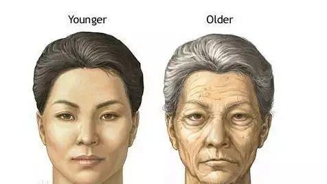 Facial contour fixation and anti-aging