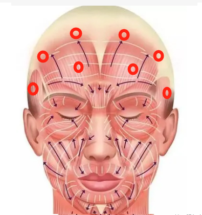 Facial contour fixation and anti-aging