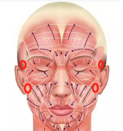 Facial contour fixation and anti-aging