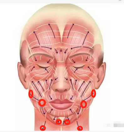 Facial contour fixation and anti-aging