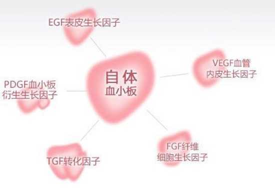 PRP Autologous fat transplantation